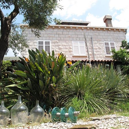 דוברובניק Guest House Maria Bilicic מראה חיצוני תמונה