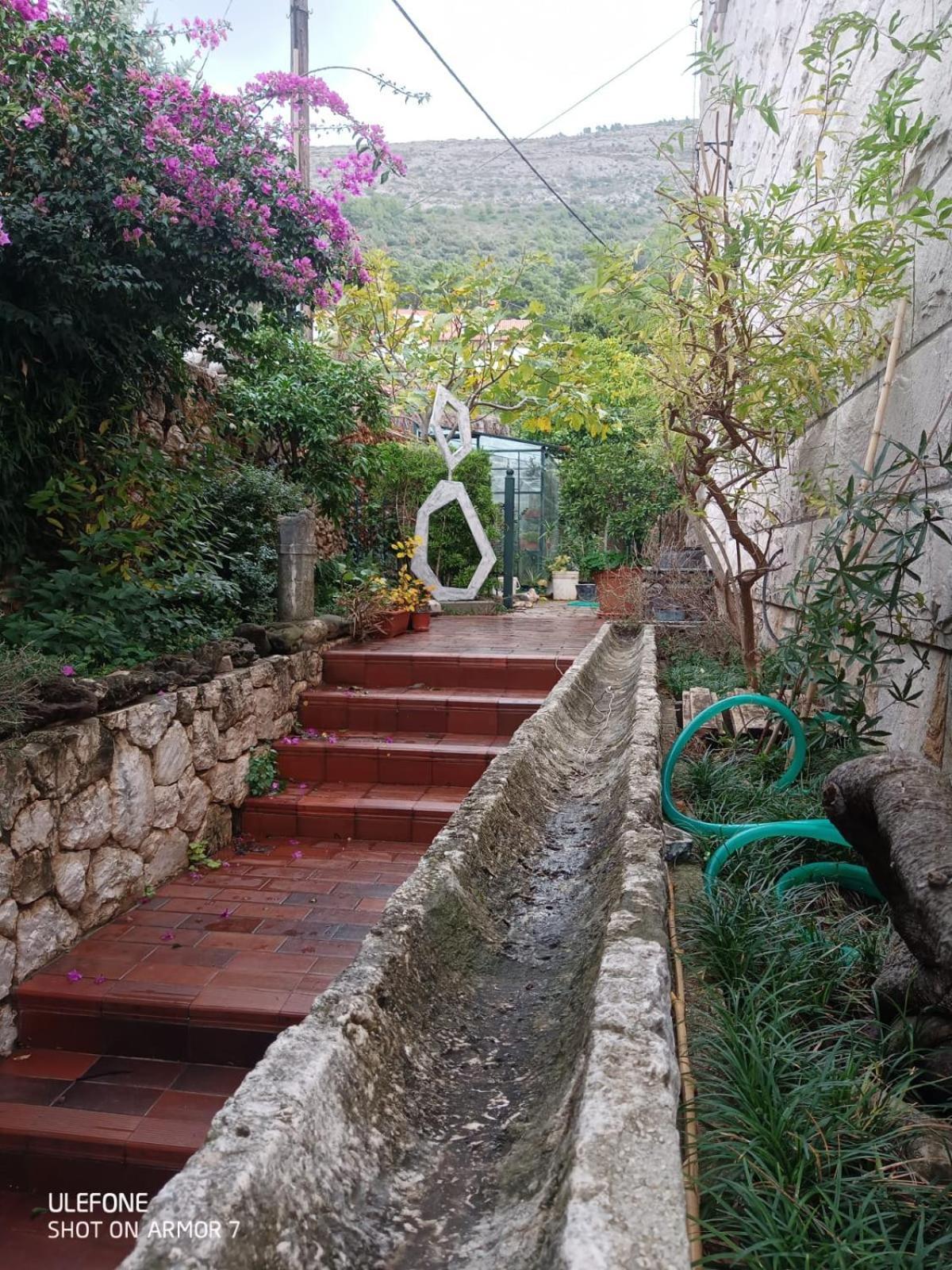 דוברובניק Guest House Maria Bilicic מראה חיצוני תמונה