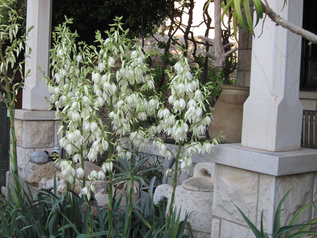 דוברובניק Guest House Maria Bilicic מראה חיצוני תמונה